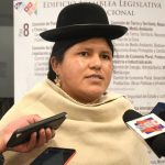 Diputada Mamani fiscaliza muerte de seis cóndores en Chuquisaca