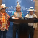 Presentan voto resolutivo en apoyo del presidente Luis Arce y David Choquehunca 