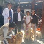 Convenio interinstitucional promueve la protección de animales en situación de Calle