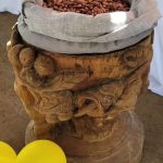 Cámara de Diputados apoya y promueve la producción de Chocolate en el país