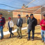 Chuquisaca: Entrega de vivero implica la reforestación de áreas en municipio de Zudañez