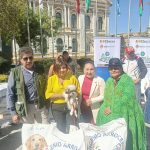La Paz: Donan alimentos para mascotas que viven en albergues