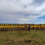 Santa Cruz: Autoridad legislativa gestiona capacitación a favor de bomberos voluntarios en municipio Camiri