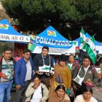 La Paz: Feria promueve los beneficios y cualidades de la hoja de coca