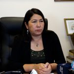 Directiva de diputados ve urgente incorporar ley que viabiliza $250 millones para mitigar los incendios