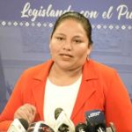 Vicepresidenta de Diputados llama a consolidar la democracia en base al respeto mutuo y la institucionalidad