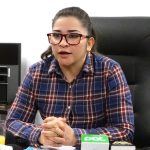Comisión de Economía aprobó el contrato del litio para que el pleno de Diputados tome la decisión final