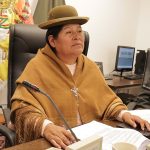 Comisión de Diputados insta a reforzar la seguridad en el Carnaval de Oruro 2025