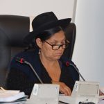 𝗖𝗼𝗺𝗶𝘀𝗶𝗼́𝗻 𝗱𝗲 𝗘𝗰𝗼𝗻𝗼𝗺𝗶́𝗮 𝗣𝗹𝘂𝗿𝗮𝗹 𝗶𝗺𝗽𝘂𝗹𝘀𝗮 𝗮𝗰𝗰𝗶𝗼𝗻𝗲𝘀 𝗱𝗲 𝗳𝗶𝘀𝗰𝗮𝗹𝗶𝘇𝗮𝗰𝗶𝗼́𝗻 𝗺𝗶𝗻𝗲𝗿𝗮 𝗲𝗻 𝗠𝗮𝗽𝗶𝗿𝗶