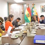 Comisión de Derechos Humanos aprueba Proyecto de Ley que garantiza el derecho de niñas, niños y adolescentes a vivir en familia