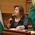 ¡Basta de impunidad! Comisión de Diputados exige informe y pide justicia por la muerte de un bebé en El Alto