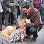 Presidente Yujra impulsa feria de adopción para dar un hogar responsable y con amor a mascotas abandonadas