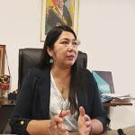 Diputada García destaca los avances en leyes referidas a integración vial y protección infantil