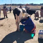 Cámara de Diputados acompaña la feria ganadera de Tiahuanacu y respalda a los productores