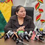 Vicepresidenta Choque: Se analizan dos opciones para viabilizar el proyecto de elección de vocales electorales
