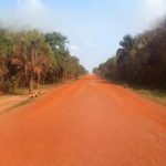 Diputados aprueban ley que impulsa la integración vial del Beni con la construcción de la carretera San Javier – Guayaramerín