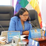 Comisión de Diputados aprueba reglamento para designar vocales electorales departamentales