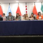 Productores de coca analizan con Diputados la situación del viceministerio del área