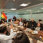 Comisión de Diputados impulsa conclusión de obras complementarias de puente entre Bolivia y Brasil