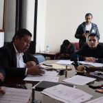 Comisión especial de diputados pide que transportistas se registren para compensación por daños por combustible